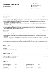 Project Director CV Example