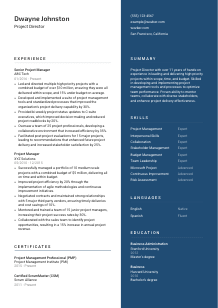 Project Director Resume Template #2