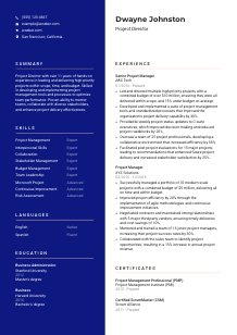 Project Director Resume Template #3