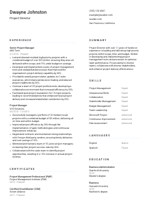 Project Director Resume Template #1