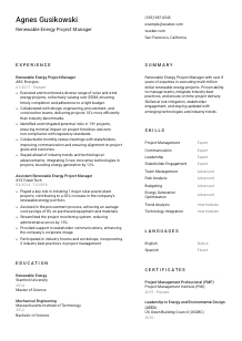 Renewable Energy Project Manager CV Template #2
