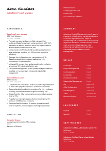 Salesforce Project Manager CV Template #22