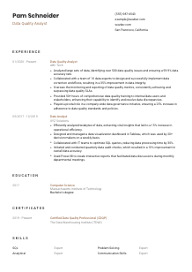 Data Quality Analyst Resume Template #1