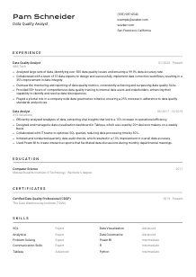 Data Quality Analyst CV Template #2