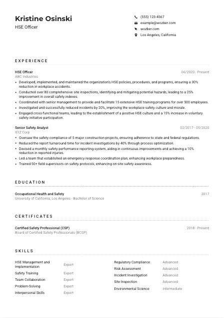 HSE Officer Resume Example