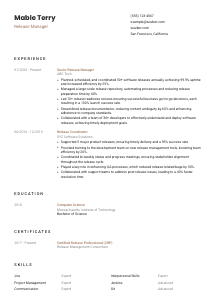 Release Manager Resume Template #6