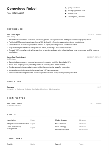Real Estate Agent CV Example