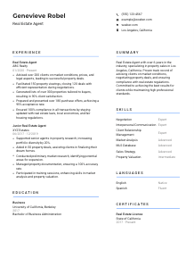 Real Estate Agent Resume Template #10