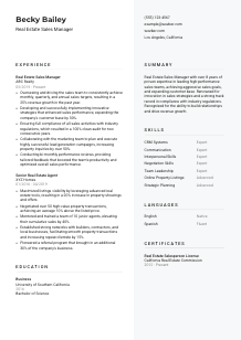 Real Estate Sales Manager CV Template #2