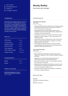 Real Estate Sales Manager CV Template #3