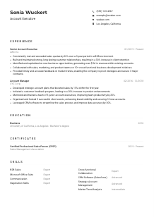 Account Executive Resume Example