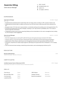 Client Service Manager Resume Example