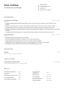 Commercial Account Manager CV Example