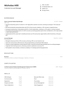 Customer Account Manager Resume Example