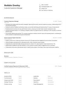 Customer Experience Manager CV Example