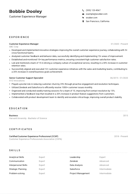 Customer Experience Manager Resume Example