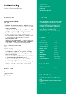 Customer Experience Manager CV Template #2