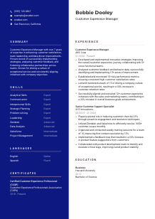 Customer Experience Manager CV Template #3