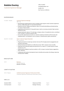 Customer Experience Manager CV Template #1