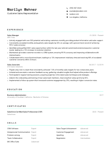 Customer Sales Representative CV Template #18
