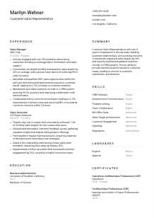 Customer Sales Representative CV Template #5