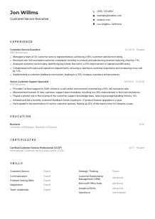 Customer Service Executive Resume Example