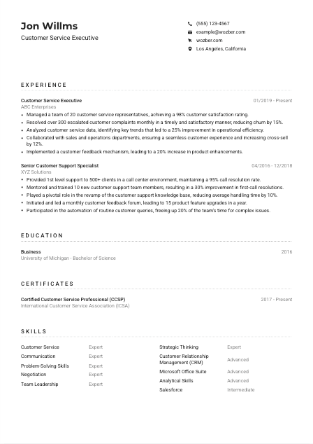 Customer Service Executive Resume Example