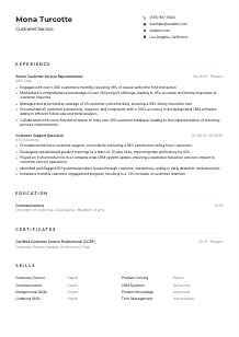 Customer Service CV Example