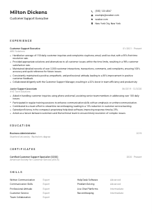 Customer Support Executive Resume Example