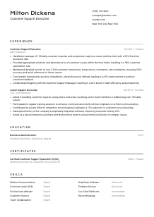 Customer Support Executive Resume Template #2
