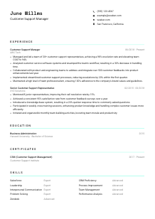 Customer Support Manager CV Template #18