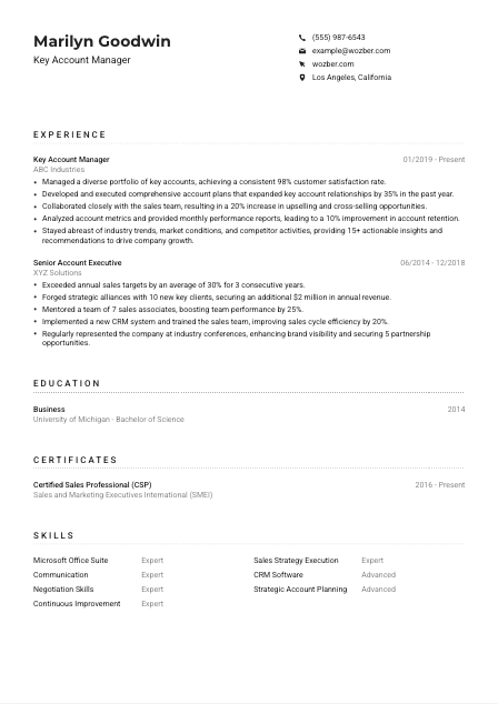 Key Account Manager CV Example