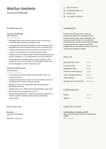 Key Account Manager CV Template #2