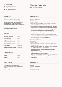 Key Account Manager CV Template #3