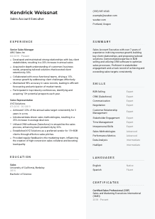 Sales Account Executive Resume Template #2