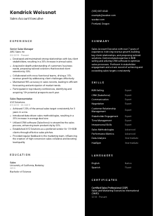 Sales Account Executive Resume Template #3