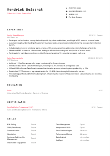 Sales Account Executive Resume Template #1