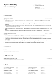 Sales Account Manager CV Example