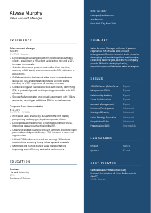 Sales Account Manager Resume Template #15