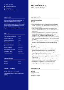 Sales Account Manager Resume Template #21