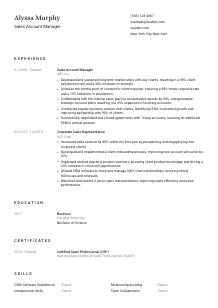 Sales Account Manager Resume Template #3
