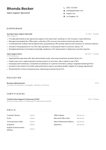 Sales Support Specialist Resume Example