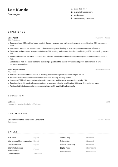 Sales Agent Resume Example