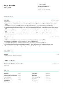 Sales Agent Resume Template #3