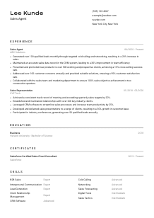 Sales Agent Resume Template #2
