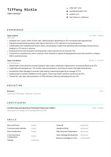 Sales Analyst Resume Template #18