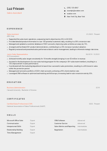 Sales Assistant Resume Template #3