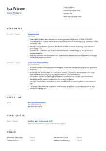 Sales Assistant Resume Template #1