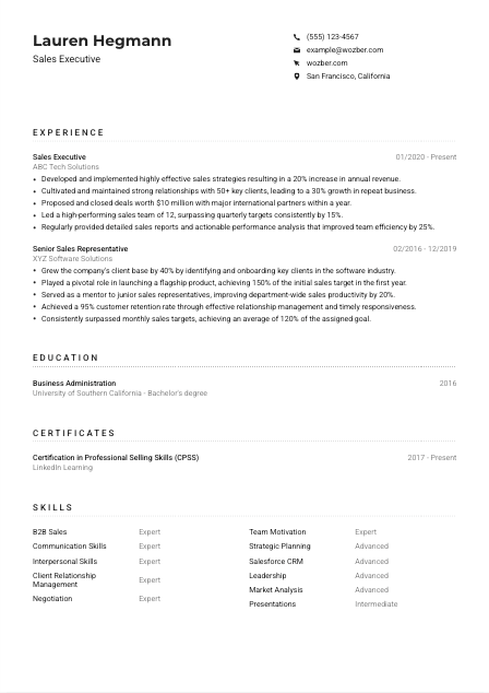 Sales Executive CV Example