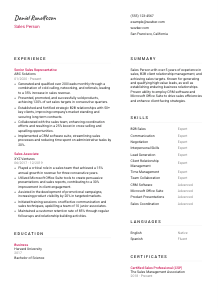 Sales Person Resume Template #2